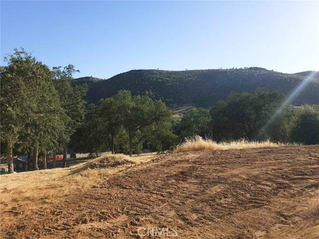 Mariposa, CA 95338,0 Terrace View