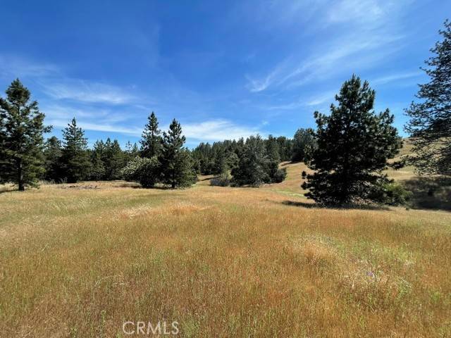 Mariposa, CA 95338,0 Triangle Road