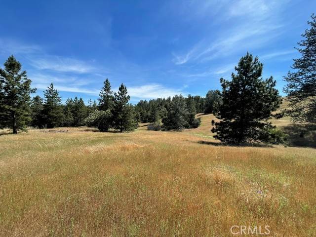 Mariposa, CA 95338,0 Triangle Road