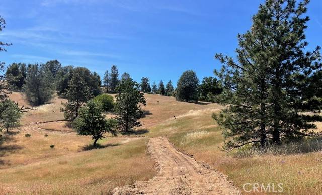 Mariposa, CA 95338,0 Triangle Road