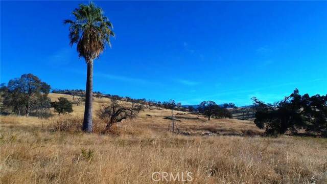 Mariposa, CA 95338,6147 Indian Gulch