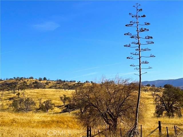 Mariposa, CA 95338,6147 Indian Gulch