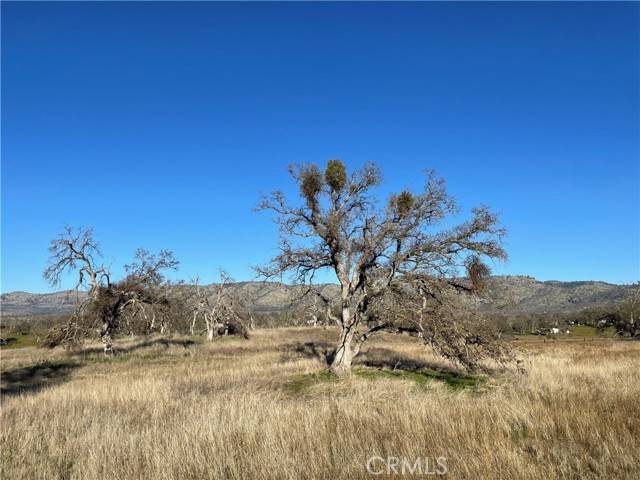 Catheys Valley, CA 95306,5 Tinkers Penny Lane