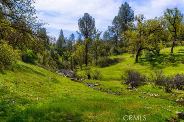 Mariposa, CA 95338,3729 Ben Hur Road