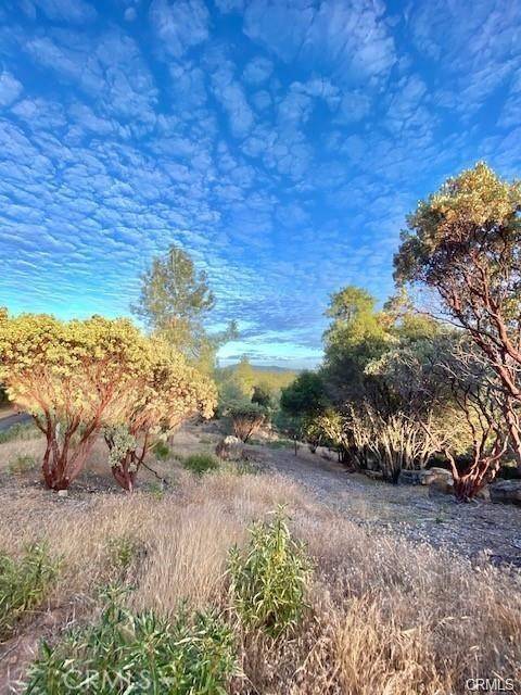 Mariposa, CA 95338,17 Vista Lago