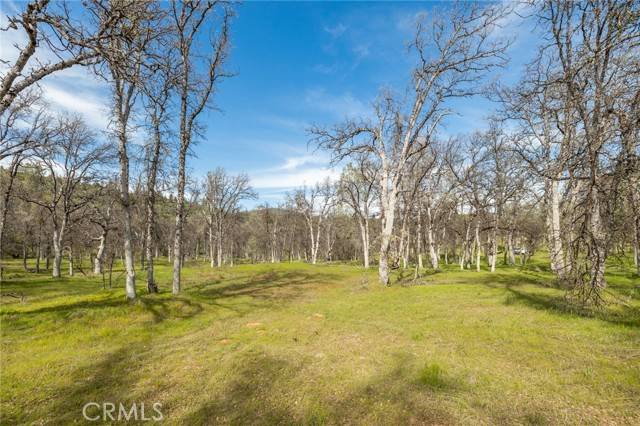 Mariposa, CA 95338,5328 E Whitlock Road