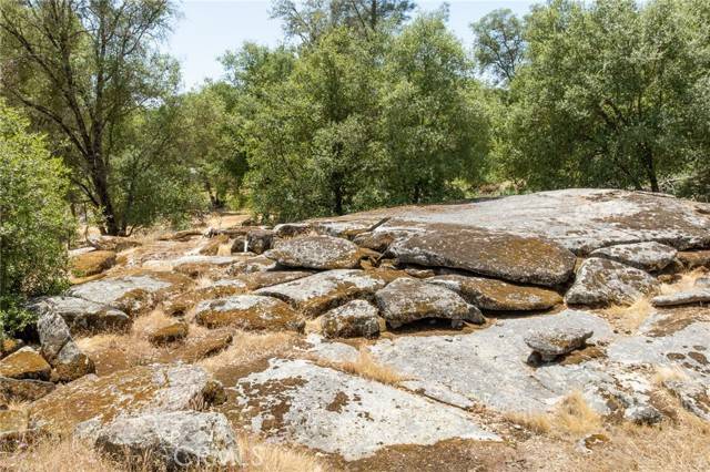 Mariposa, CA 95338,0 Dawn Road