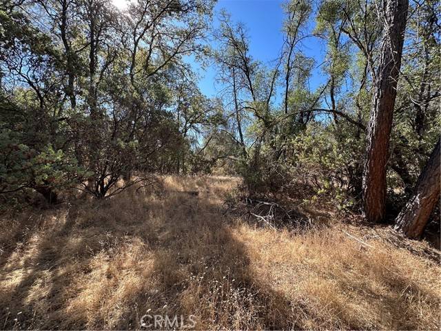 Mariposa, CA 95338,4275 Ashworth Road