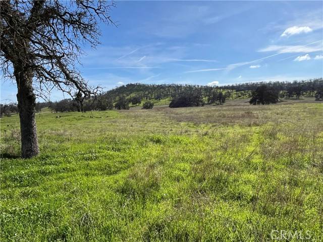 Catheys Valley, CA 95306,2463 Old Highway