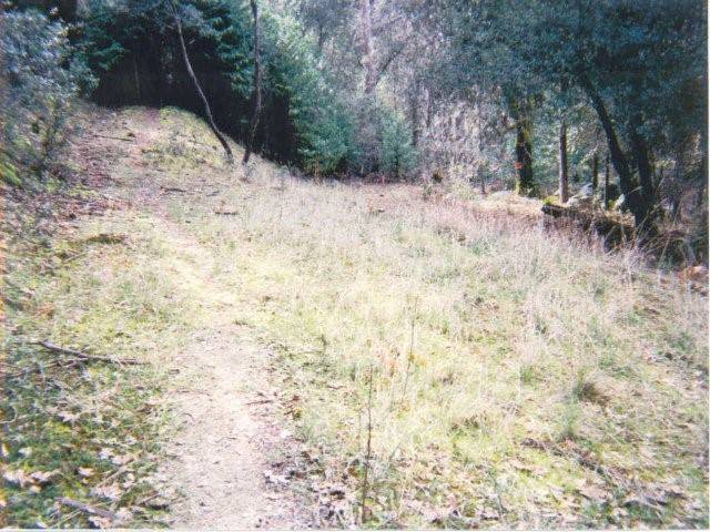 Mariposa, CA 95338,5699 Creel