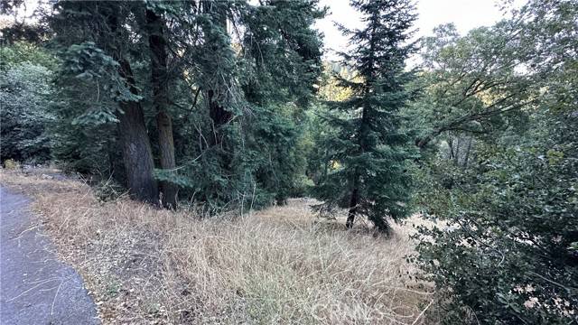 Cedarpines Park, CA 92322,0 Fir