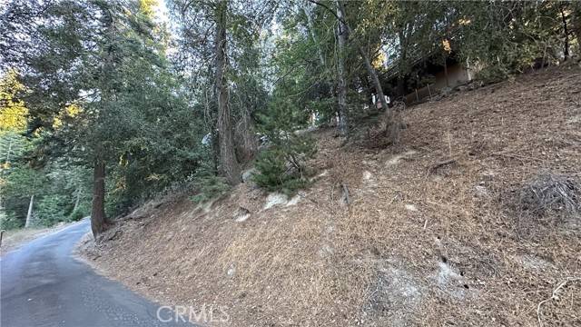 Twin Peaks, CA 92391,0 Mid Lane