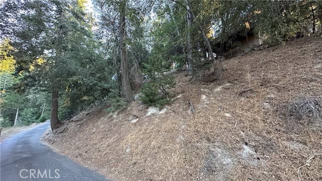 Twin Peaks, CA 92391,0 Mid Lane