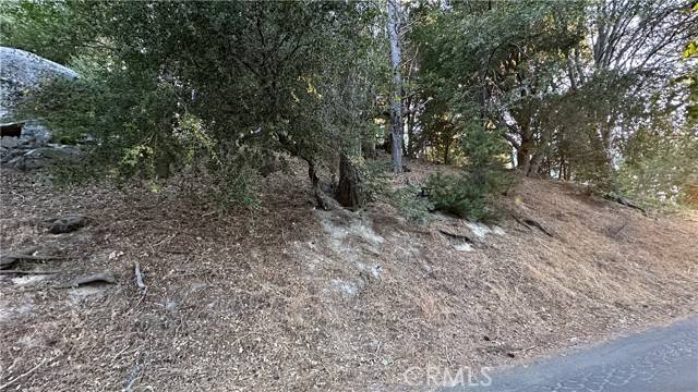 Twin Peaks, CA 92391,0 Mid Lane