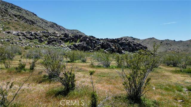 Apple Valley, CA 92307,0 Chaparral Road