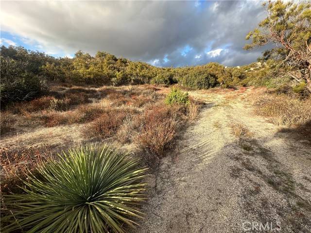 Warner Springs, CA 92086,36825 Highway 79