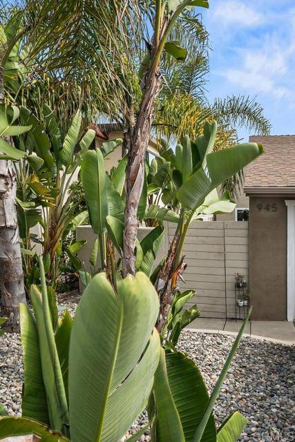 Encinitas, CA 92024,943 Windy Hill