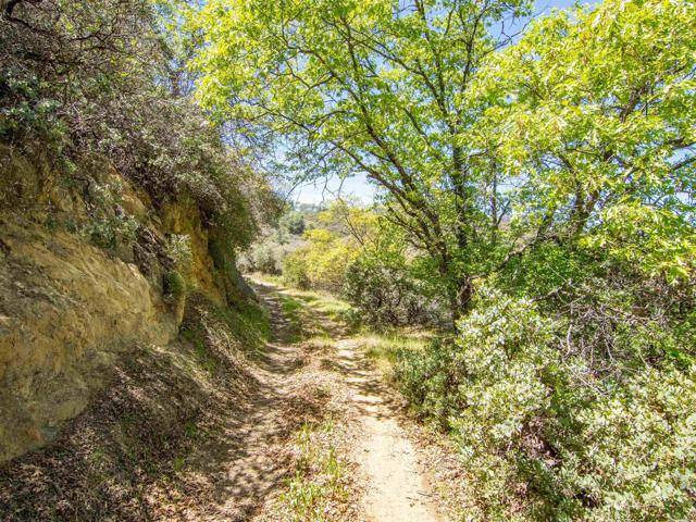 Santa Ysabel, CA 92070,17 Bobcat Trail