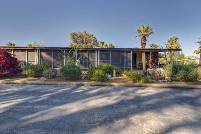 Borrego Springs, CA 92004,1010 Palm Canyon Drive #35