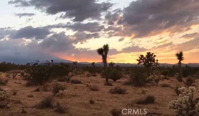 Joshua Tree, CA 92252,0 Farimont Drive