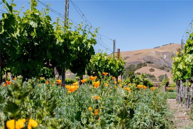 Los Olivos, CA 93441,6905 Foxen Canyon Road