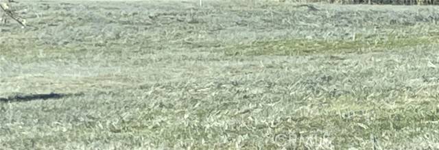 Santa Margarita, CA 93453,0 Birdslanding Trail
