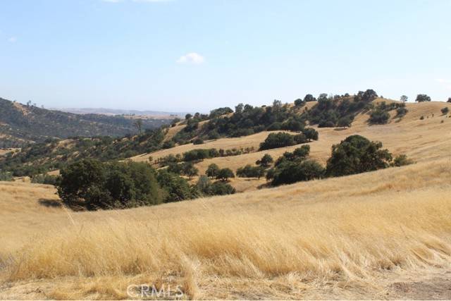 San Miguel, CA 93451,71901 Vineyard Canyon Road