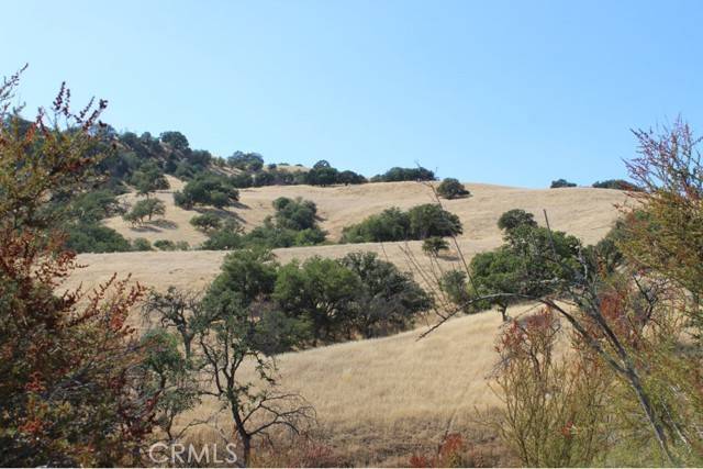 San Miguel, CA 93451,71901 Vineyard Canyon Road