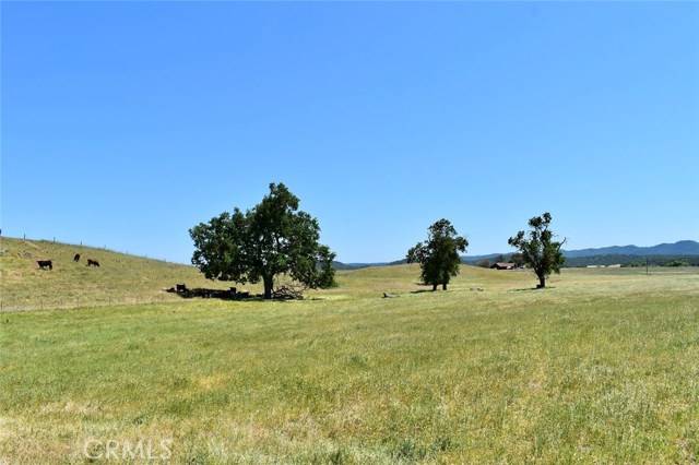 Lockwood, CA 93932,67915 Jolon Road