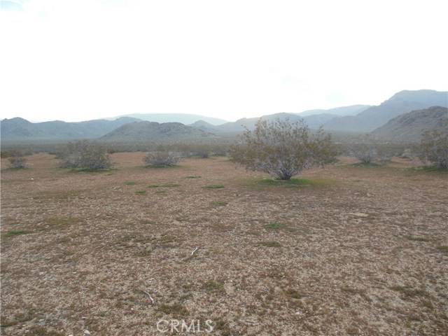 Lucerne Valley, CA 92635,34558 Cattleman