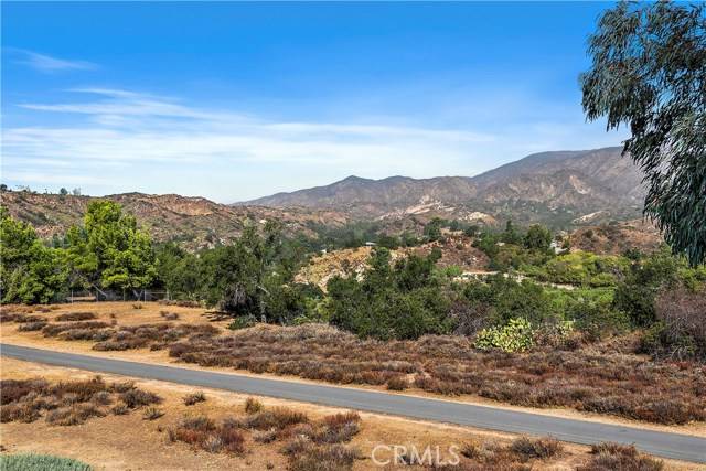 Rancho Santa Margarita, CA 92688,49 Lobelia