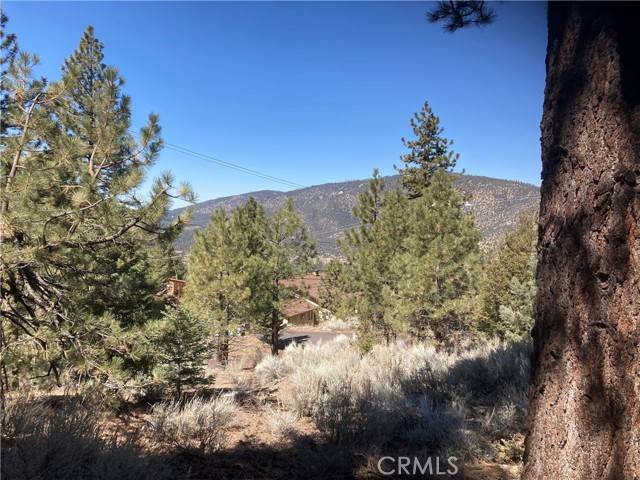 Pine Mtn Club, CA 93222,15125 Chestnut Drive