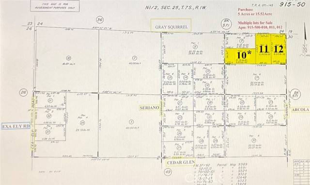 Hemet, CA 92544,10 Gray Squirrel Lot 10