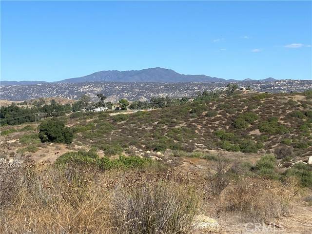 Hemet, CA 92544,10 Gray Squirrel Lot 10