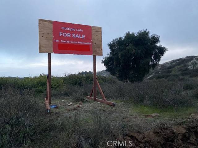 Hemet, CA 92544,10 Gray Squirrel Lot 10