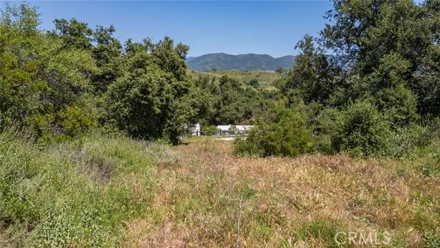 Trabuco Canyon, CA 92678,0 Danielle Lane