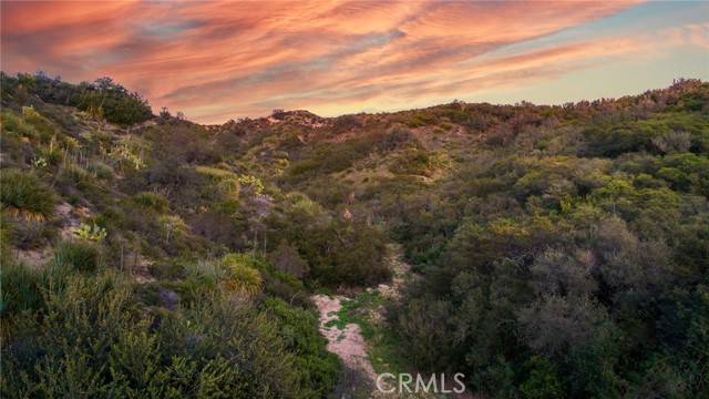 Trabuco Canyon, CA 92679,20062 Summit Trail Road