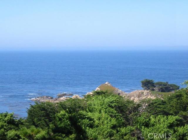 Carmel Highlands, CA 93923,195 Spindrift Road