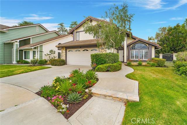 Dana Point, CA 92629,25161 Danabirch