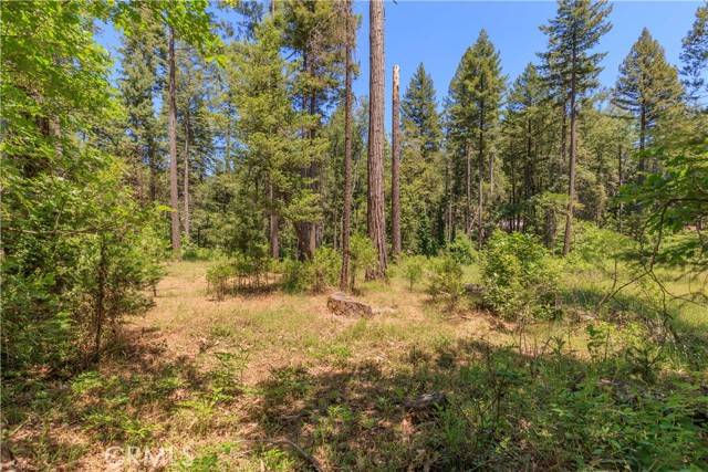 Magalia, CA 95954,0 Hidden Lake Lane