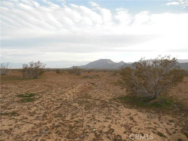 Lucerne Valley, CA 92356,1223 Lorraine@Larjoe