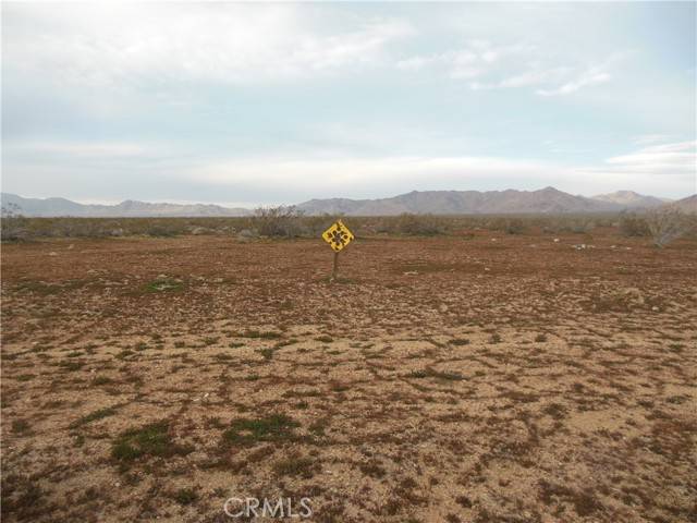 Lucerne Valley, CA 92356,1222 Lorraine