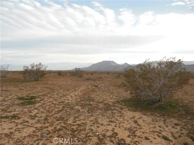 Lucerne Valley, CA 92356,1222 Lorraine