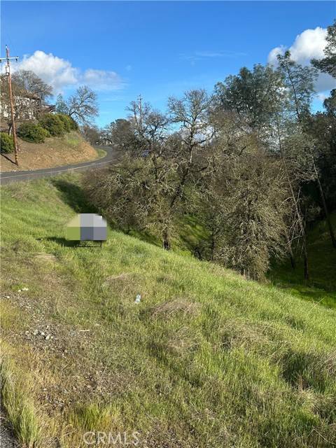Copperopolis, CA 95228,4355 Tomahawk Trail