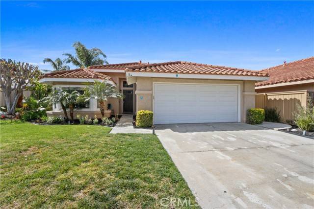 Rancho Santa Margarita, CA 92688,8 Sarracenia