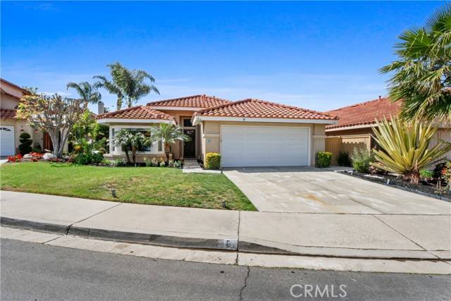 Rancho Santa Margarita, CA 92688,8 Sarracenia