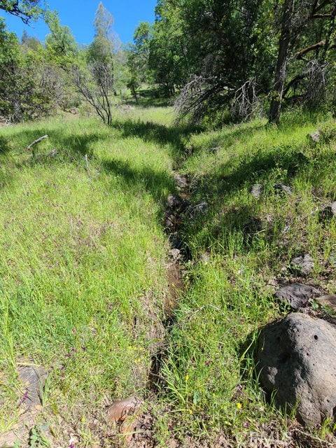 Manton, CA 96059,0 Rocky Oaks