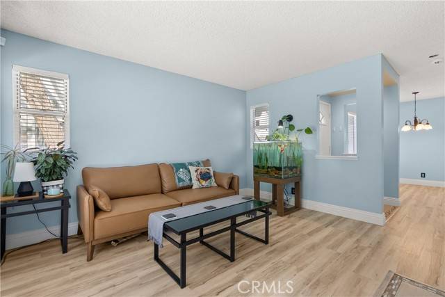 Rancho Santa Margarita, CA 92688,42 Dianthus
