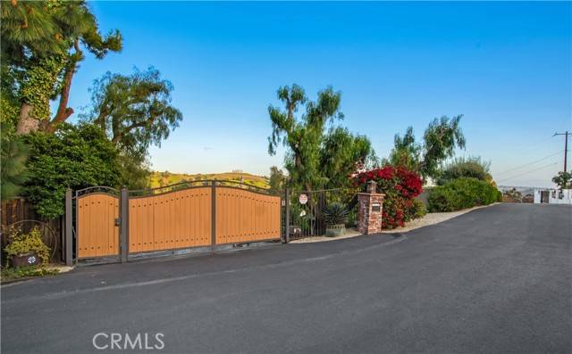 San Juan Capistrano, CA 92675,29546 Spotted Bull Lane