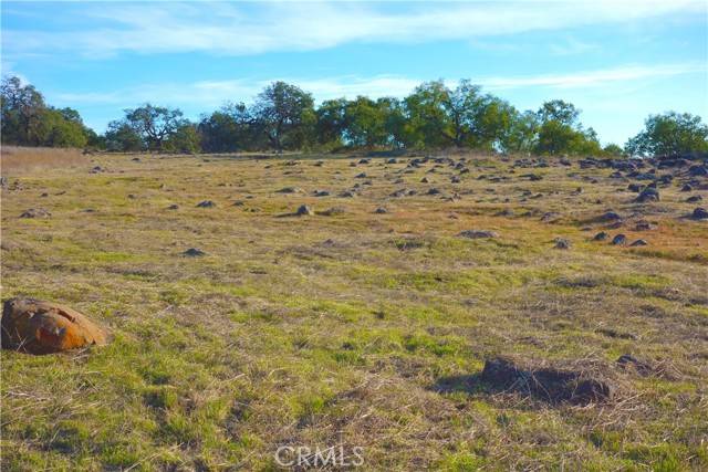 Murrieta, CA 92562,20 Avocado Mesa